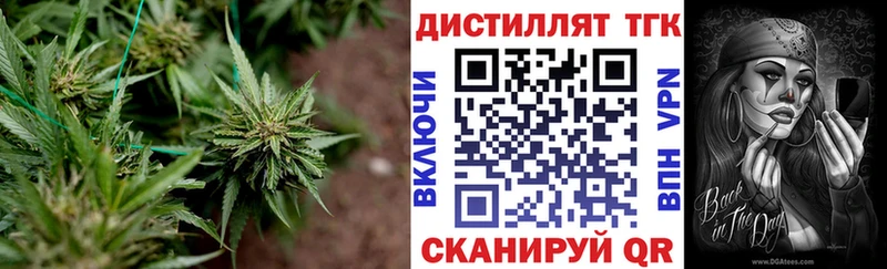 Дистиллят ТГК гашишное масло Калач