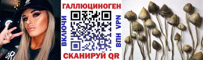 Галлюциногенные грибы мухоморы  закладка  Калач 
